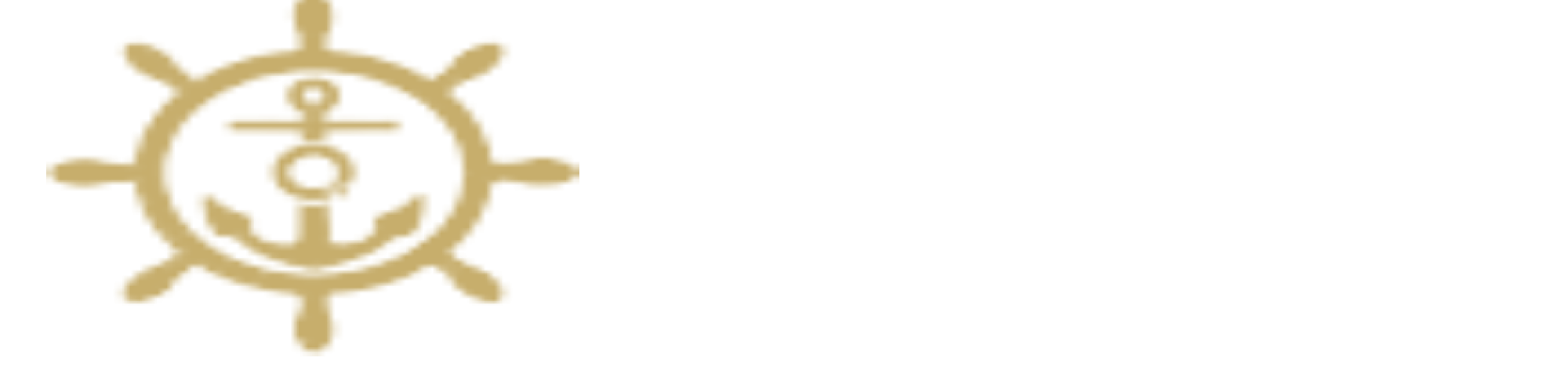 New Project (2)